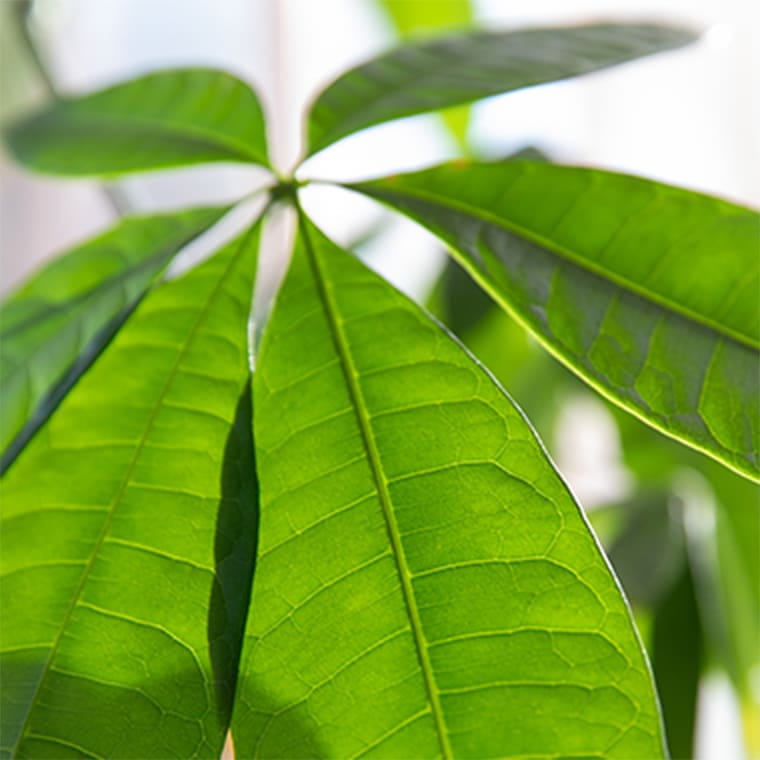 ここに記事タイトルが入ります髪質改善ヘアエステのご紹介ここに記事タイトルが入ります髪質改善ヘアエステのご紹介ここに記事タイトルが入ります髪質改善ヘアエステのご紹介